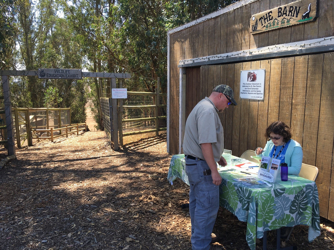 Sonoma County Wildlife Rescue景点图片