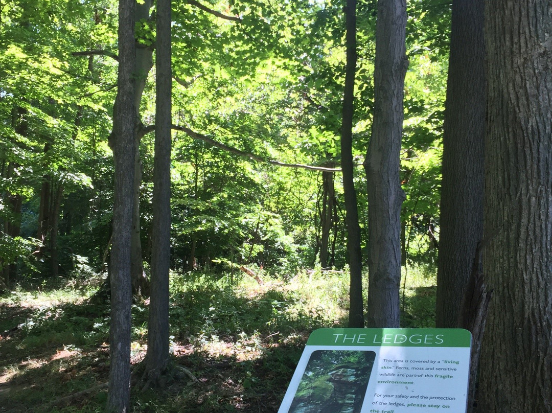 Liberty Park-特温斯堡必去景点