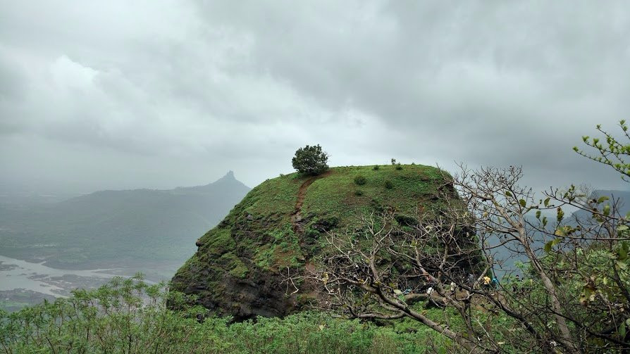 One Tree Hill Point景点图片