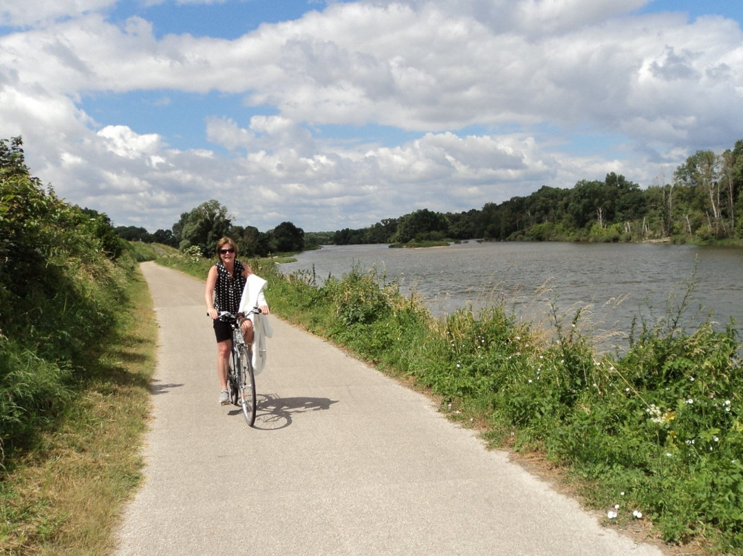 Loire a Velo Cycle Path景点图片