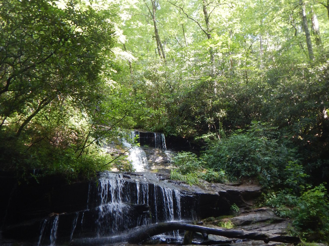 JJ's Deep Creek Tubes景点图片