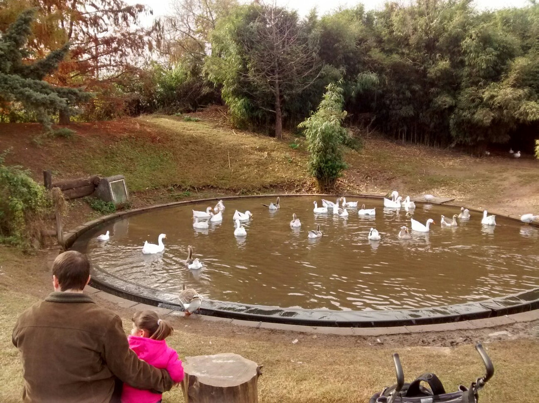 La Granja de la Infancia景点图片