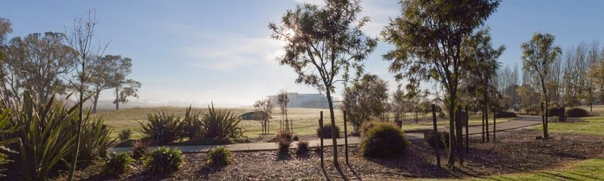 Zealong Tea Estate-汉密尔顿必去景点