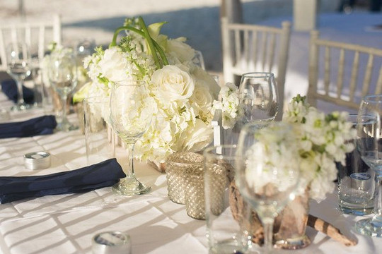 Flowers by EA-普罗维登西亚莱斯必去景点