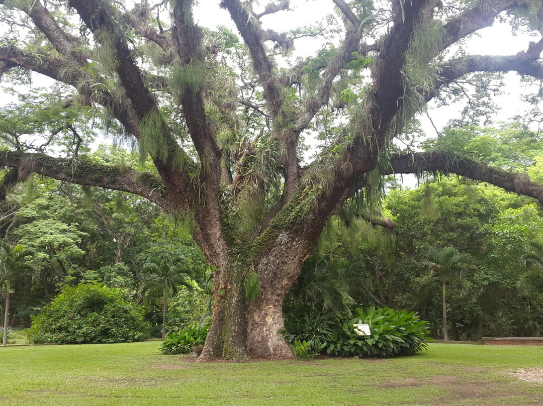 Jardin Botanico de Naguanagua景点图片