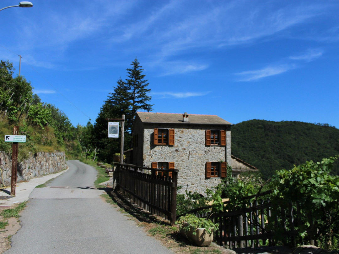 Ne酒店住宿-Farmhouse B&B Castagnola 64
