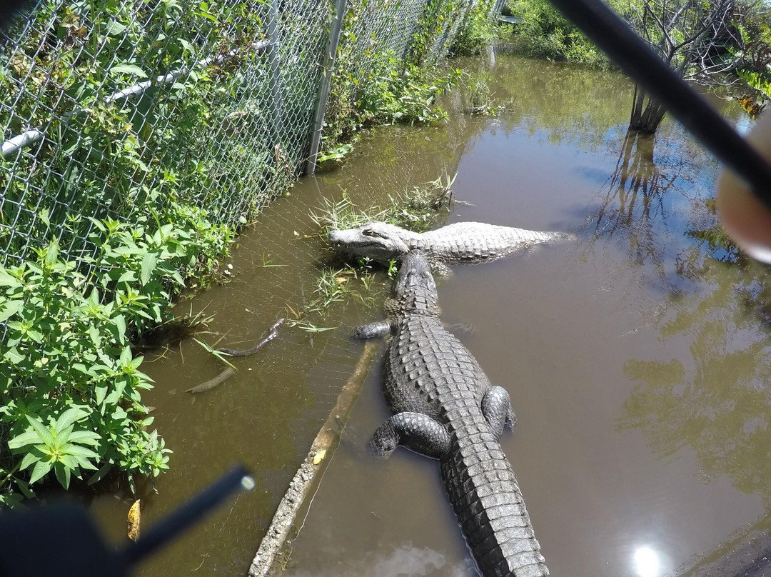 99 Mile Wilderness Waterway-大沼泽国家公园必去景点