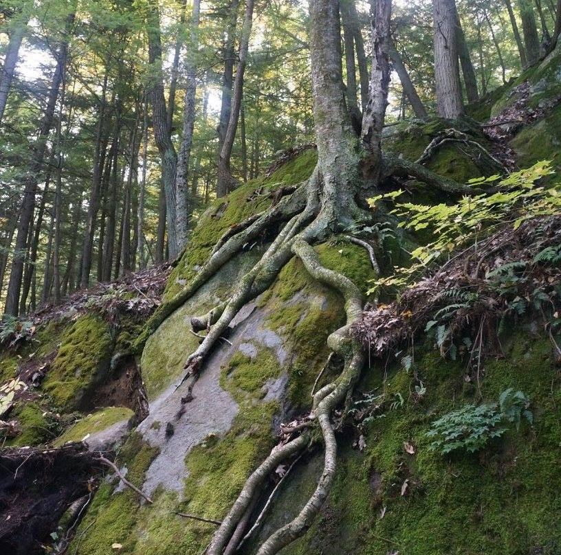 Branbury State Park-Salisbury必去景点