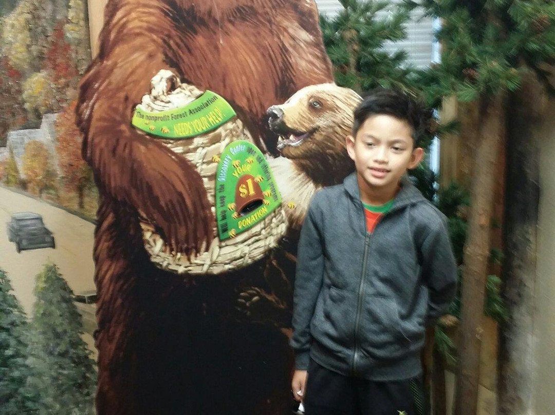 Big Bear Visitor Center-大熊湖必去景点