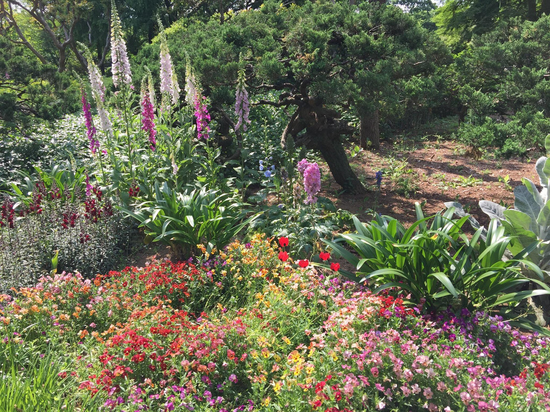 Fukaya Green Kingdom