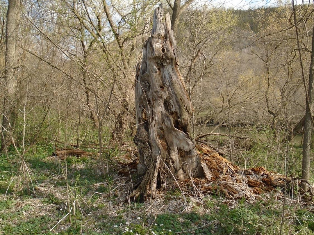 Root River State Trail景点图片