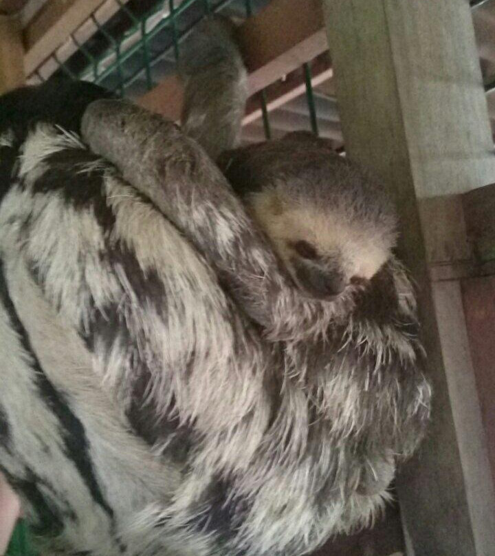 Association Chou Ai-Macouria必去景点