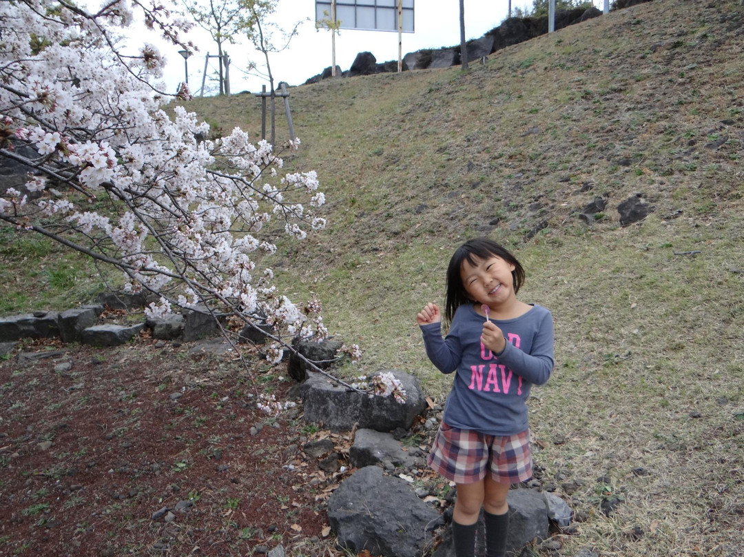 Izu Kogen Cherry Blossom Festival景点图片