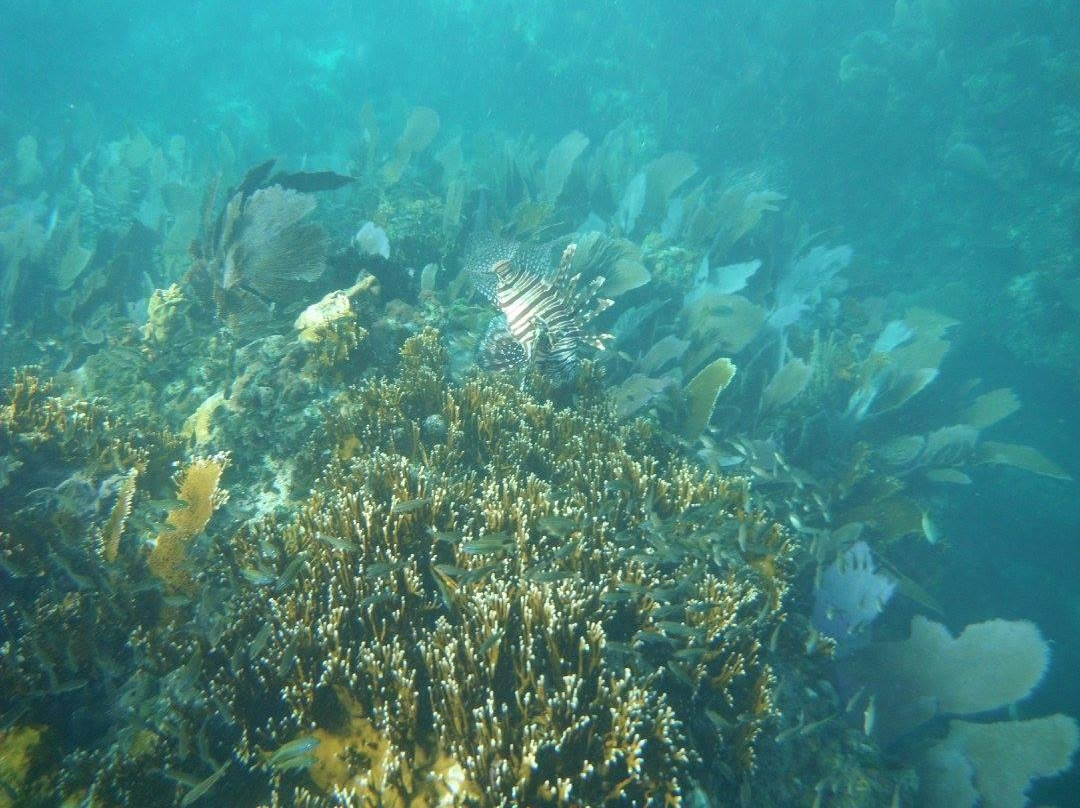 Coco Loba Tours-伊柳塞拉必去景点