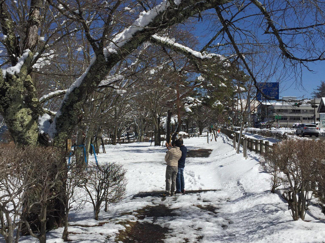Lake Yamanaka Photo Gallery景点图片