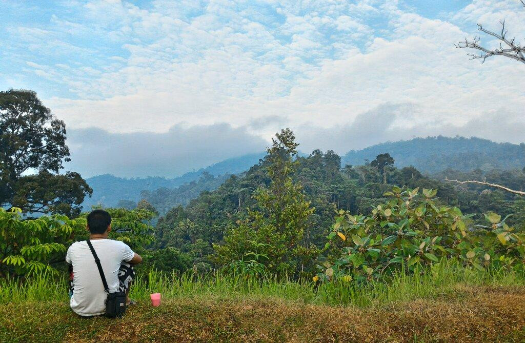 Bukit Tigapuluh National Park景点图片
