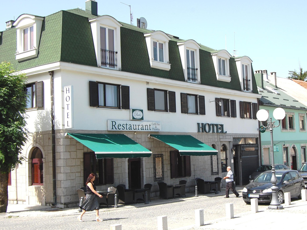 Kolasin Municipality酒店住宿-Hotel Brile