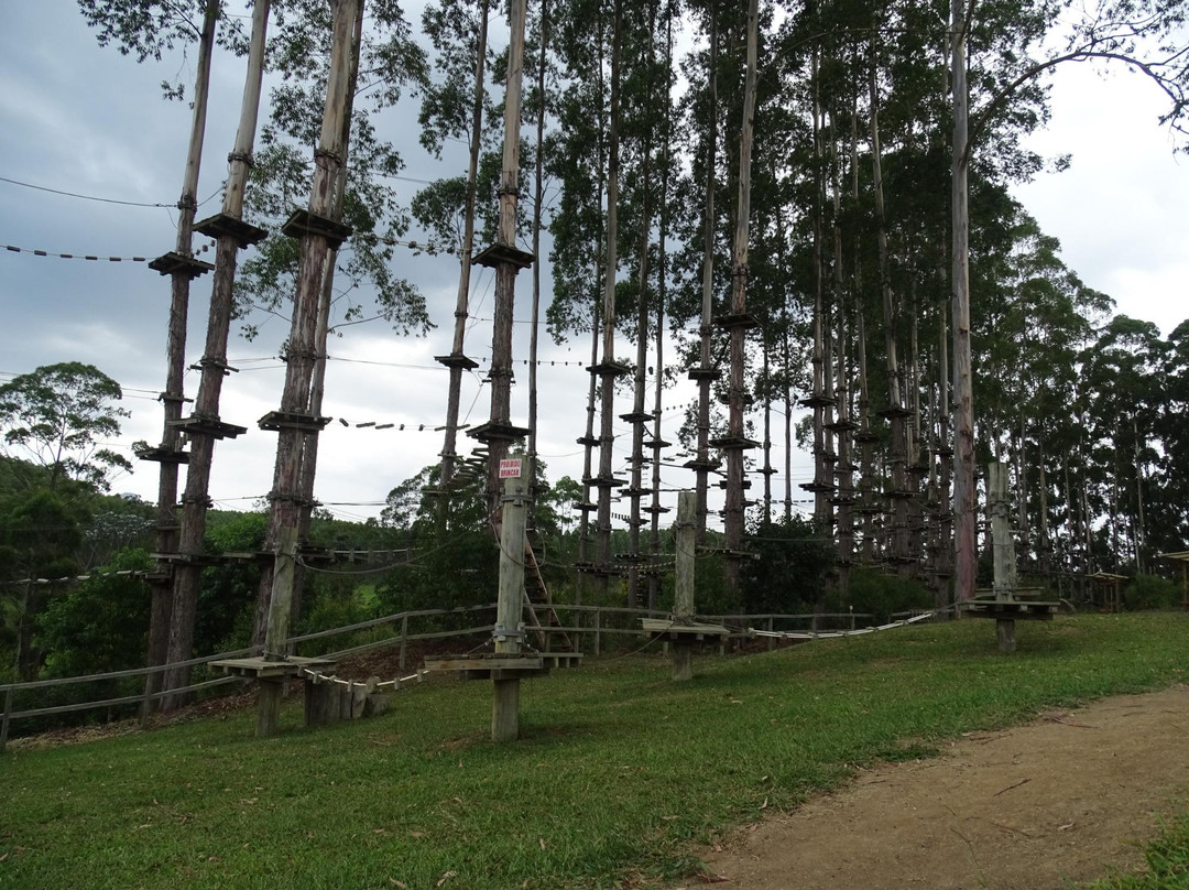 Selva Sassiri景点图片