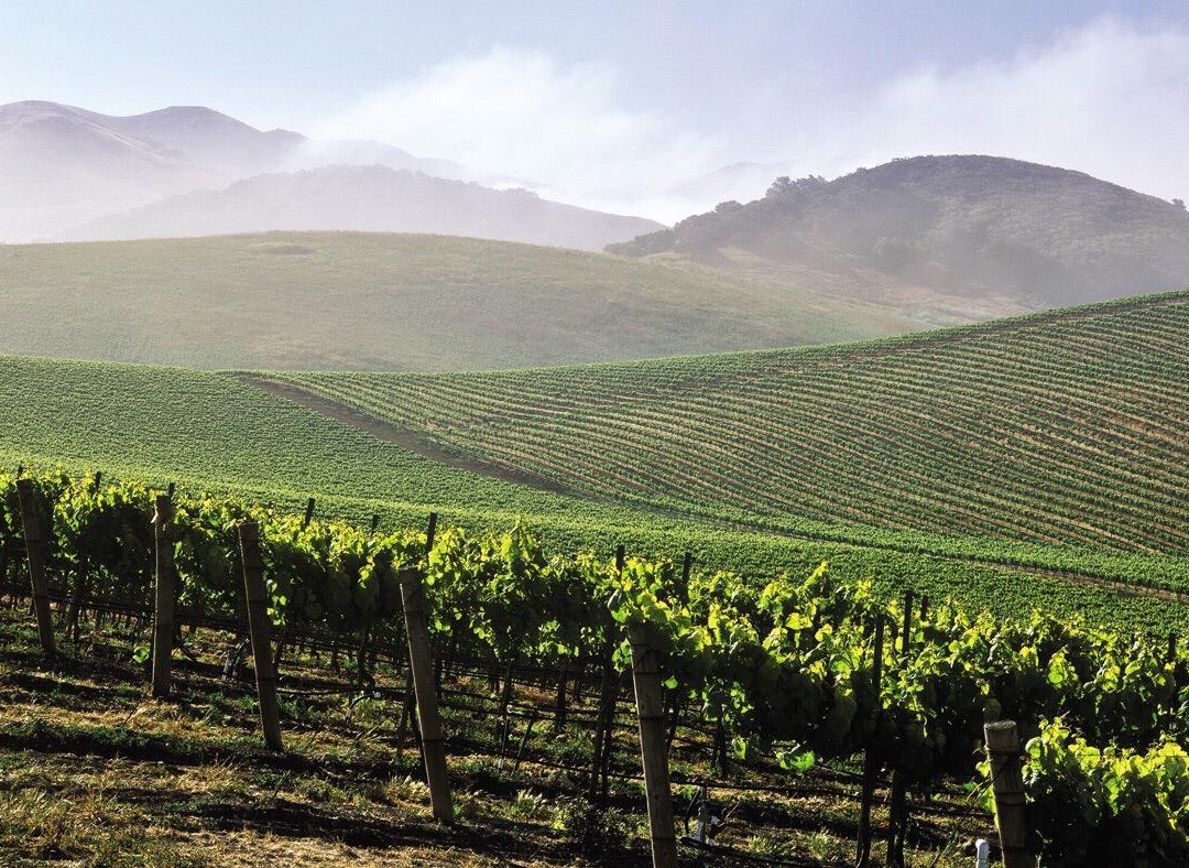 Old Mason Winery & Vineyard-West Milton必去景点