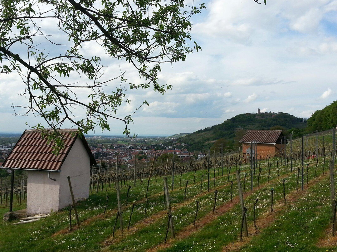 Viniversum Bergstrasse-Heppenheim必去景点