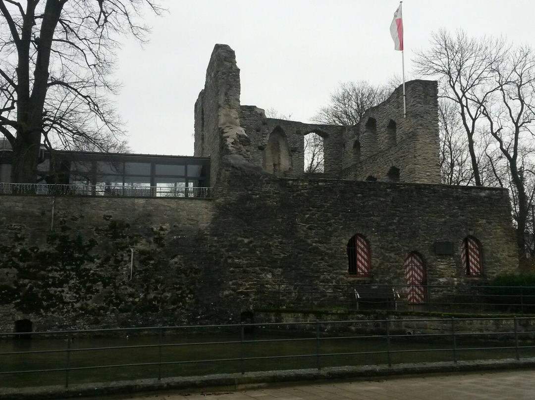 Arminiuspark景点图片