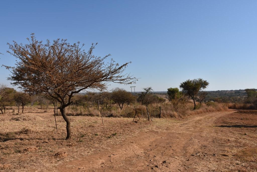 Bulawayo Town景点图片