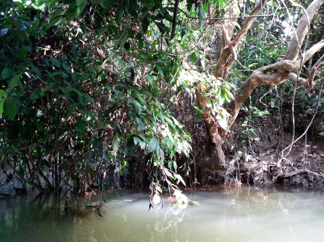 Sikia Jhora景点图片