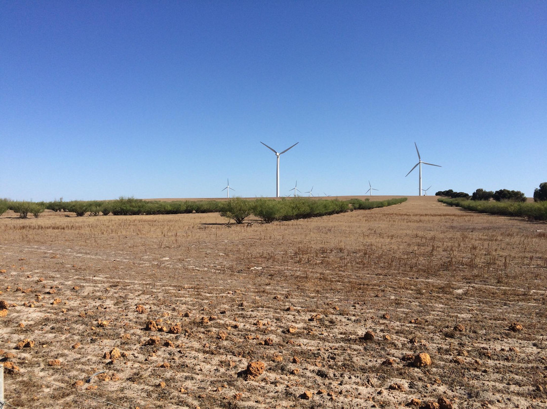 Emu Downs Wind Farm景点图片