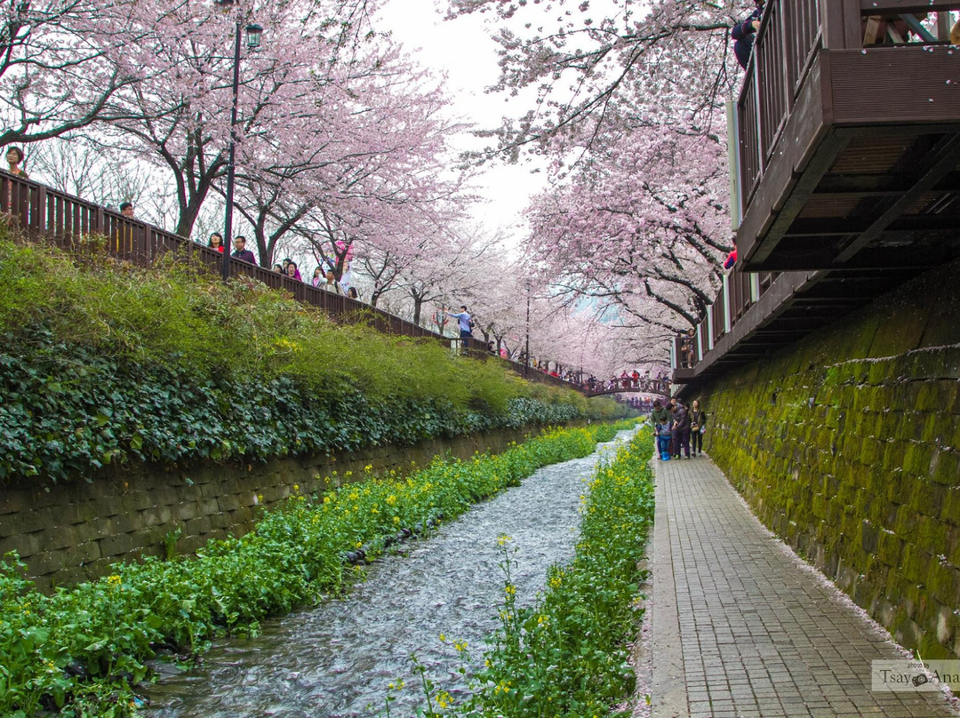 Jinhae NFRDI Environment Eco-park-昌原市必去景点