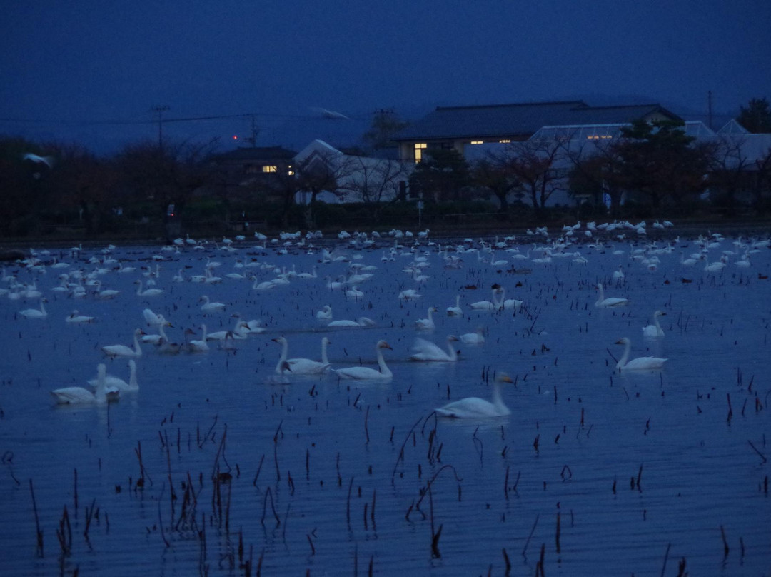Hyoko Hakucho Kaikan-阿贺野市必去景点