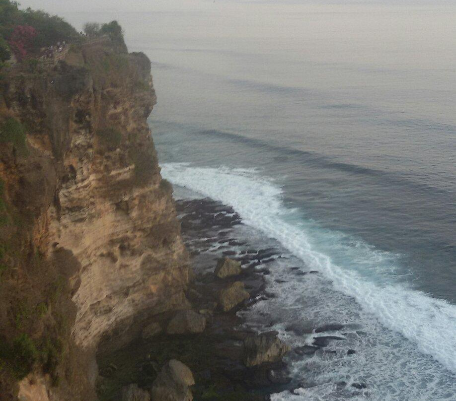 Bali Dolphin Watching Tour-登巴萨必去景点