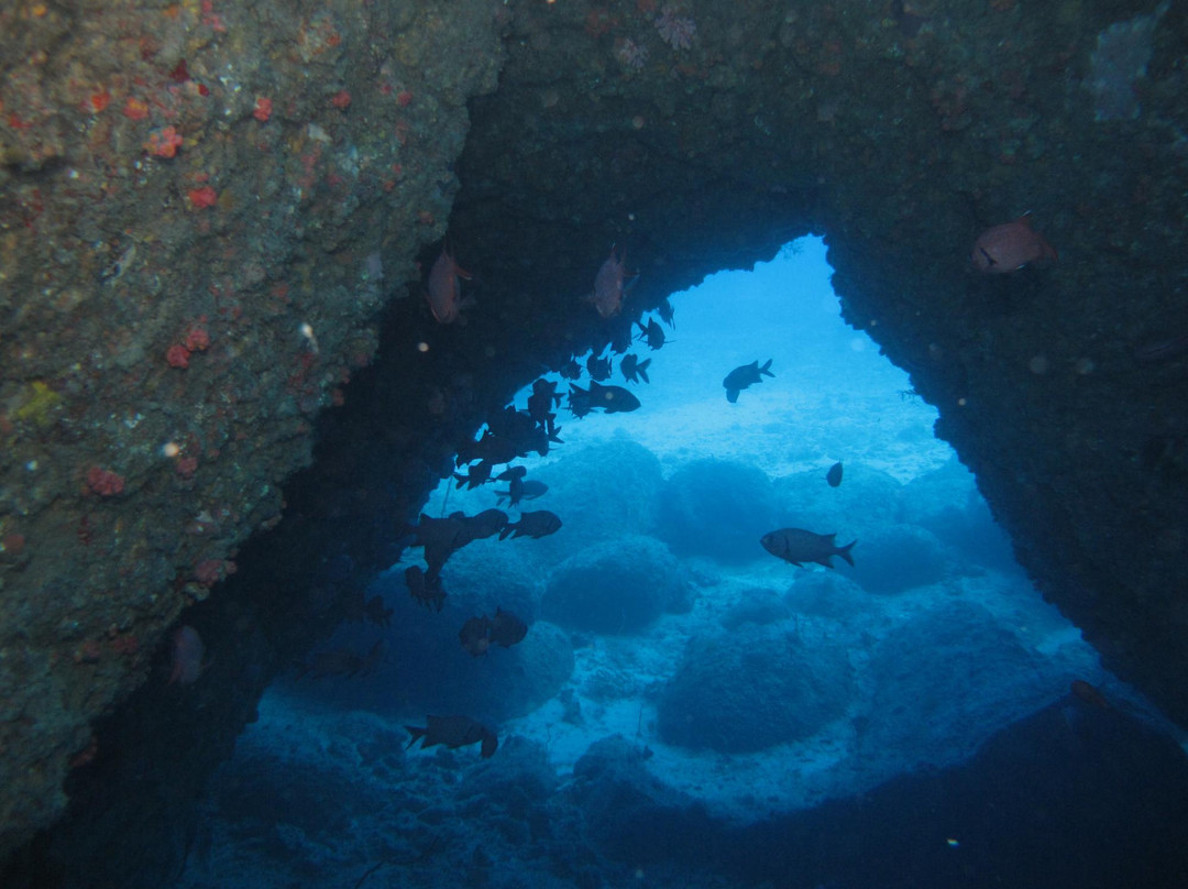Nemo Diving Center-弗力克昂弗雷克必去景点