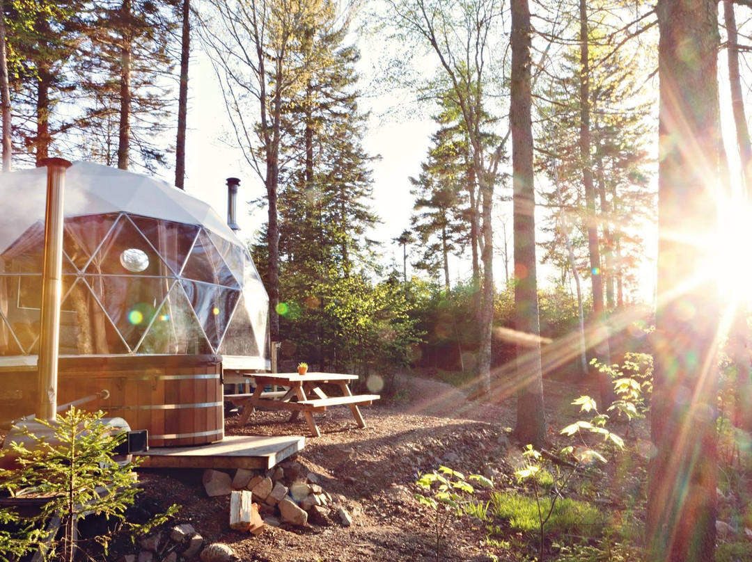 Ridgeback Lodge