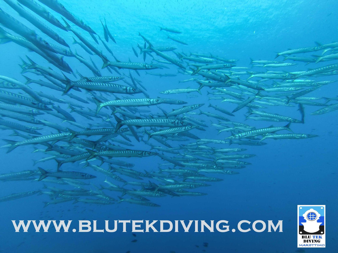Blu Tek Diving景点图片
