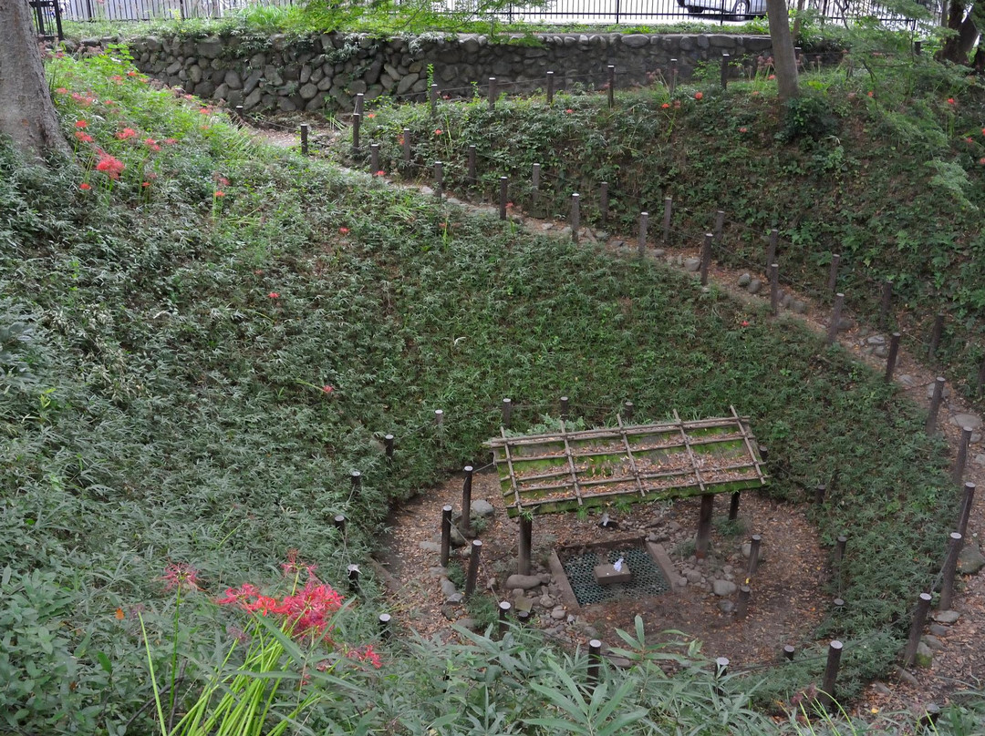 Maimaizu Well-羽村市必去景点