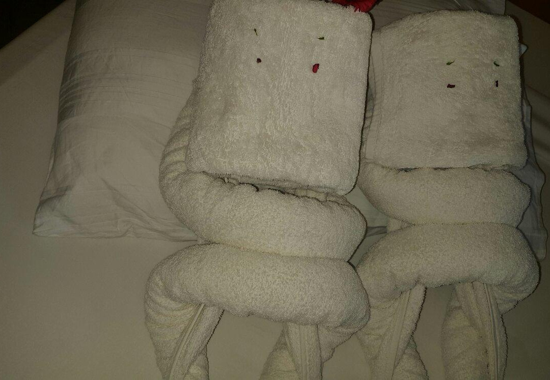 奥里贾纳达哈卜酒店主图