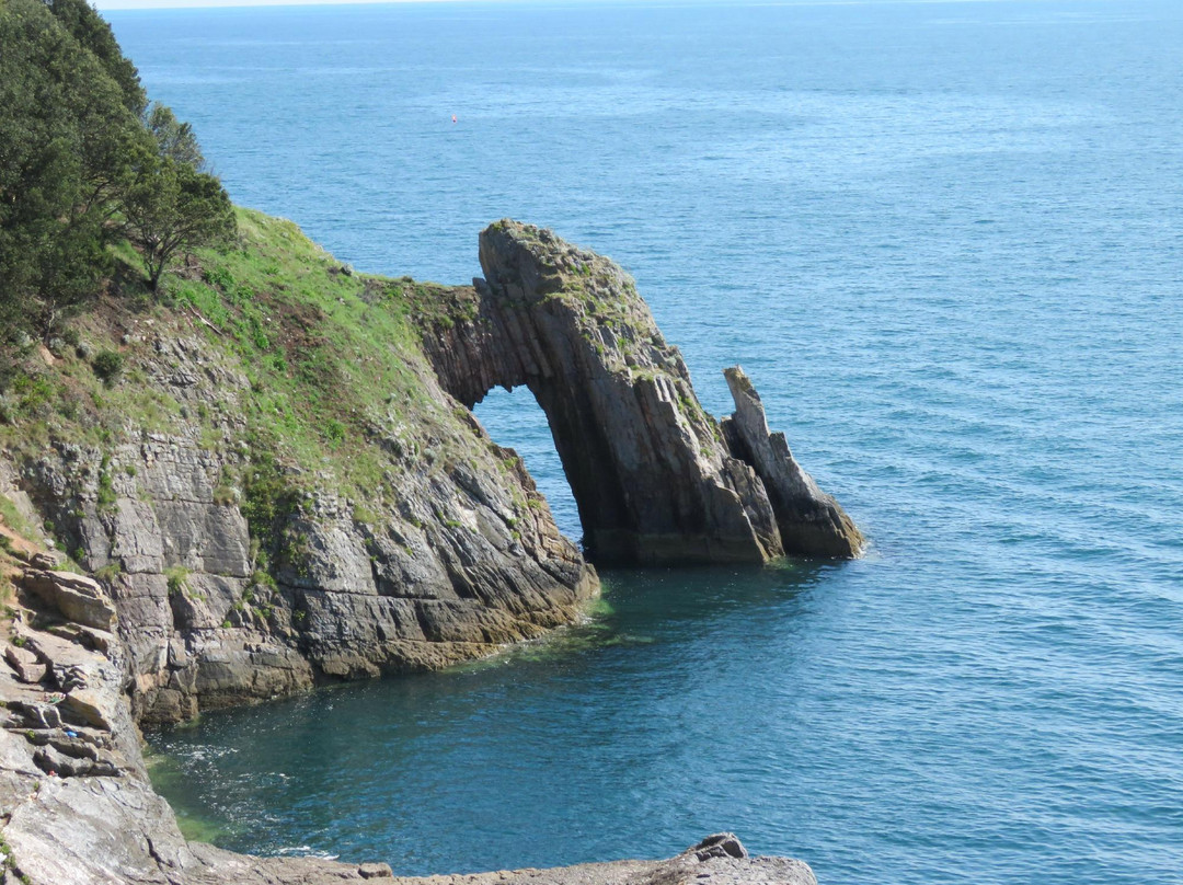 South West Coast Path Walk- Meadfoot & London Bridge景点图片