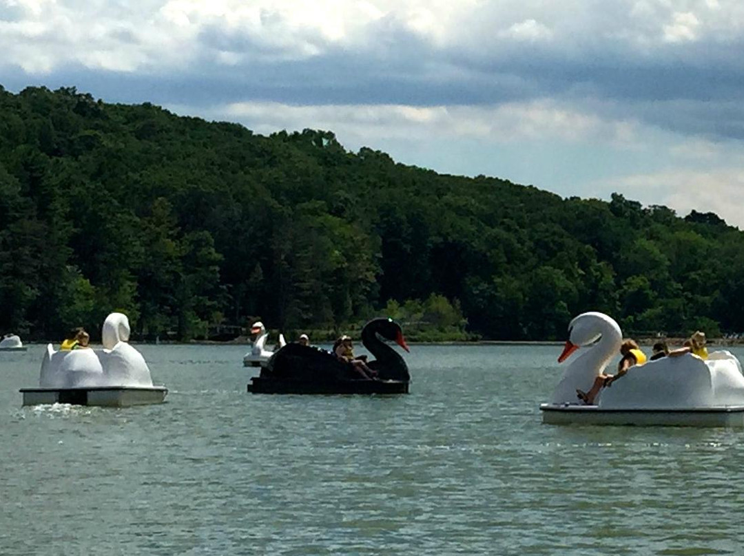 Paddle Boating and Picnic Pavilion景点图片