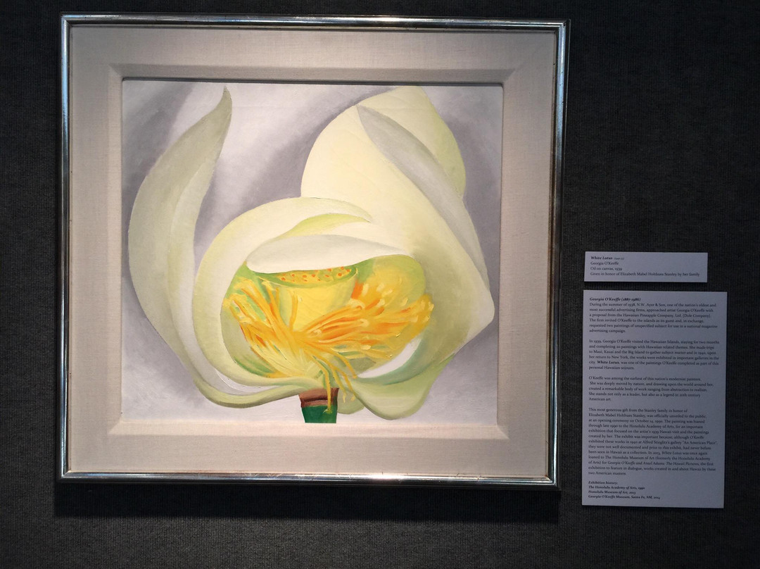 Muscatine Art Center景点图片