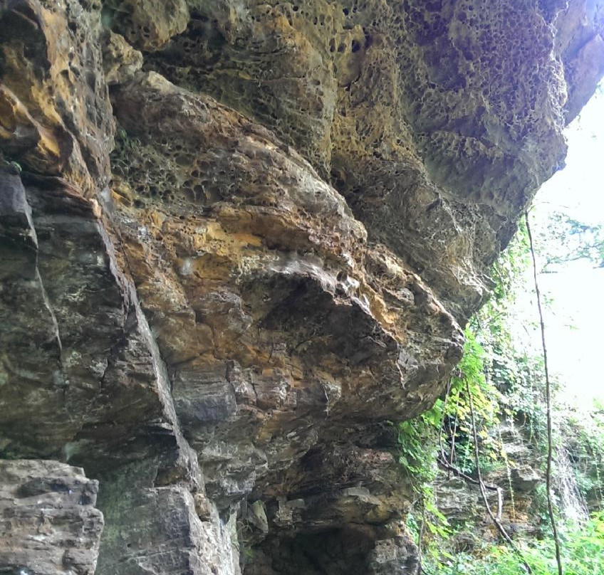 Black Rock Nature Preserve-Otterbein必去景点