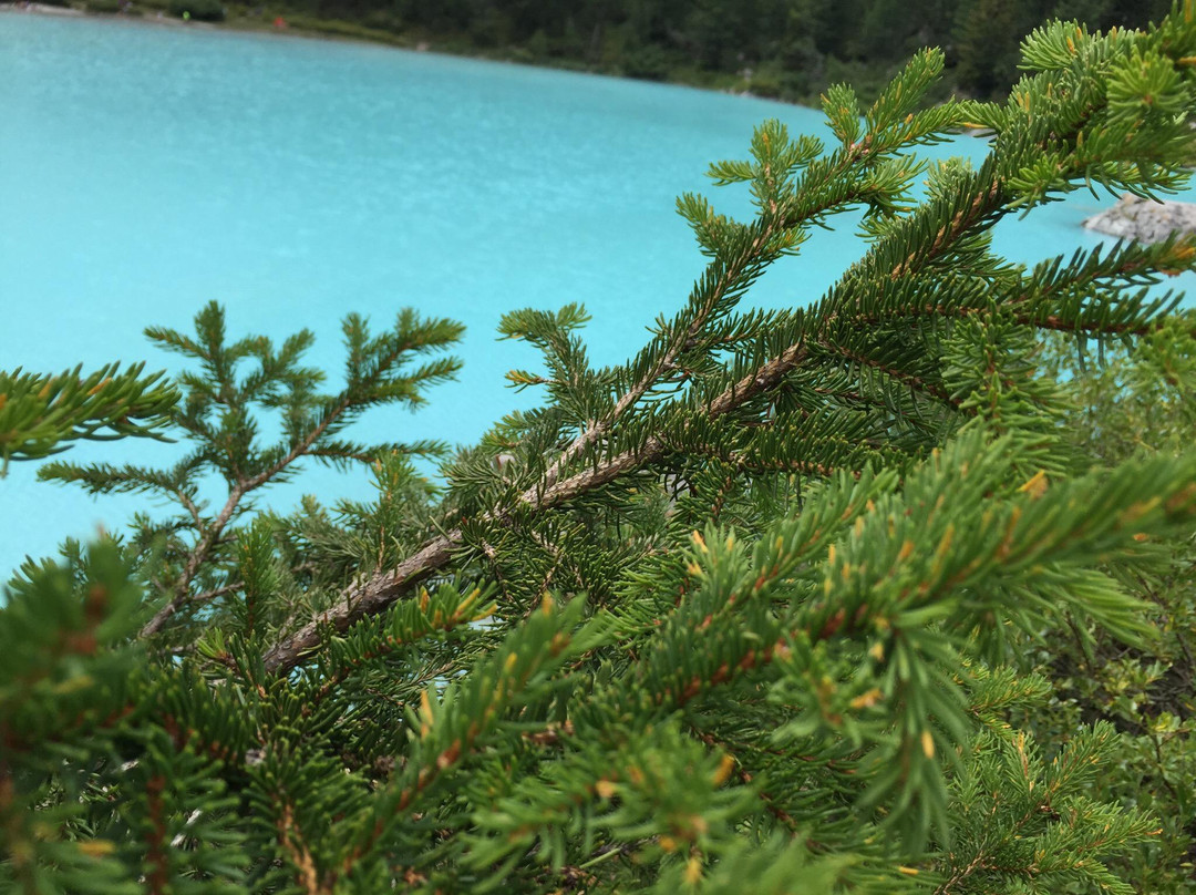 Lago di Sorapiss-科尔蒂纳丹佩佐必去景点