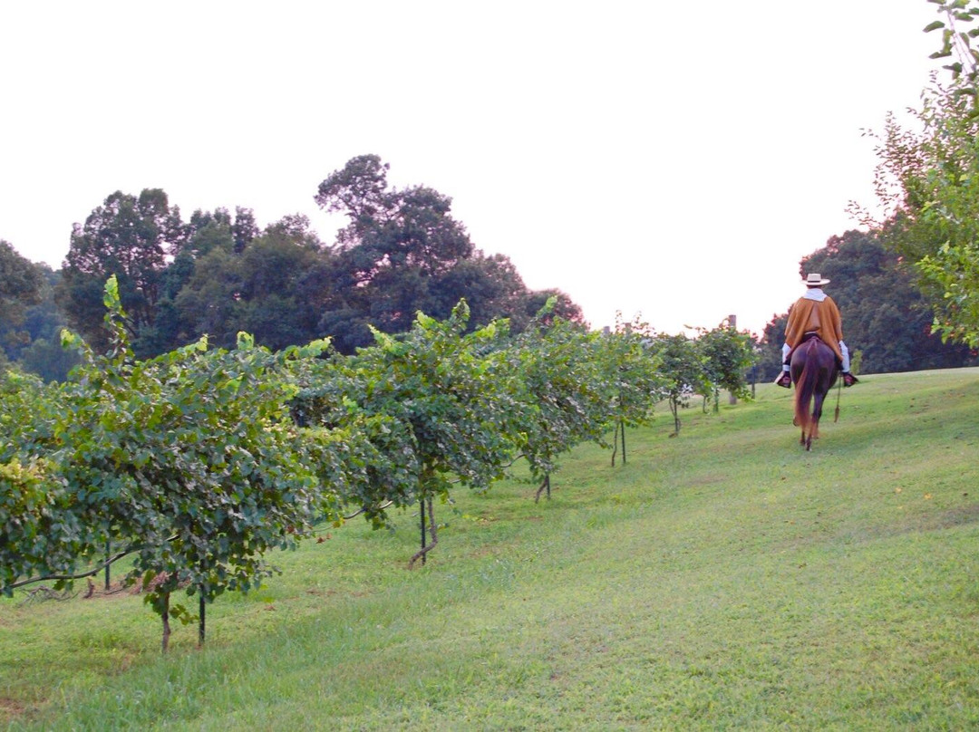Chestnut Trail Vineyard景点图片