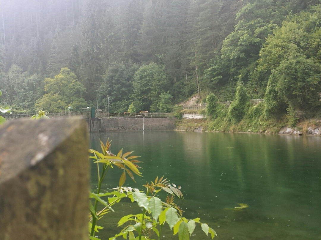 Johannesbachklamm-Wurflach必去景点