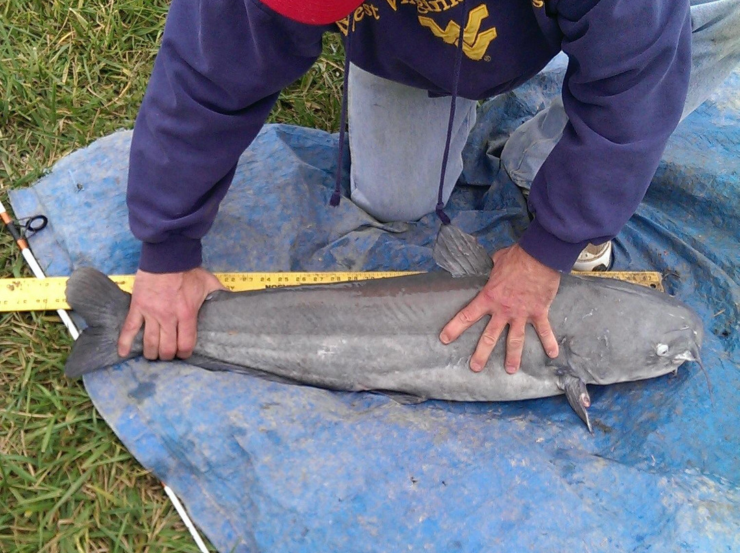 Zetts Tri-State Fish Hatchery-Inwood必去景点