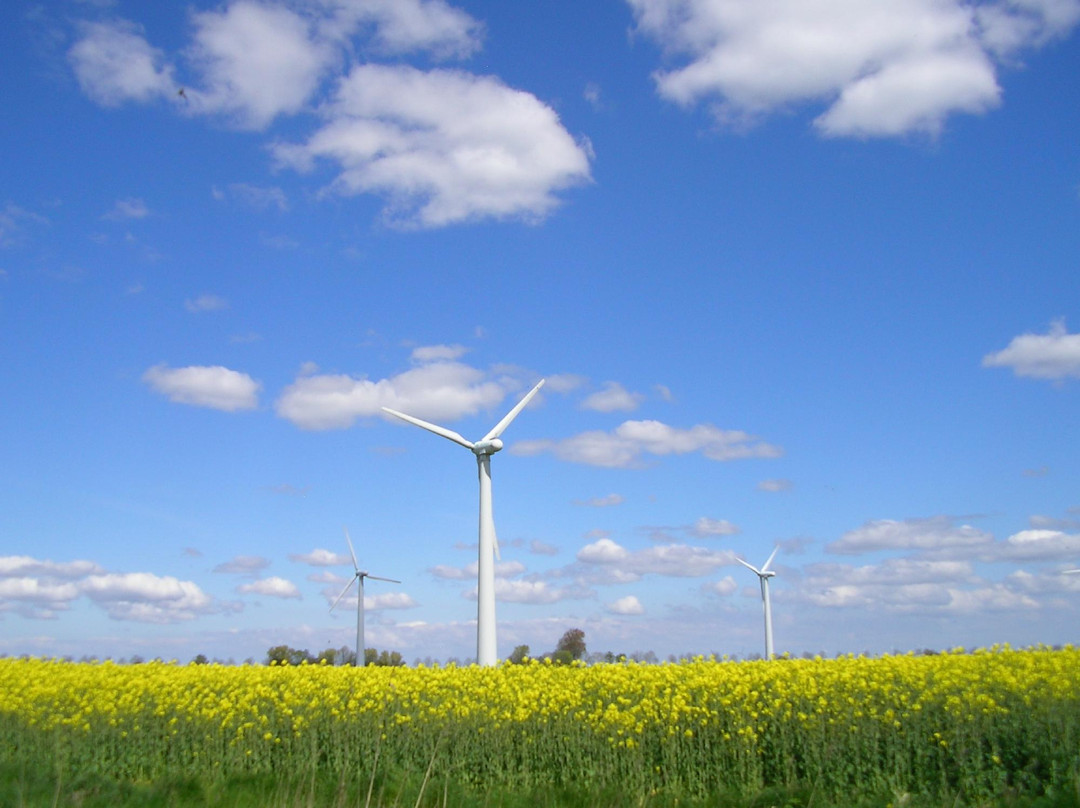 Langen b. Bremerhaven旅游攻略图片