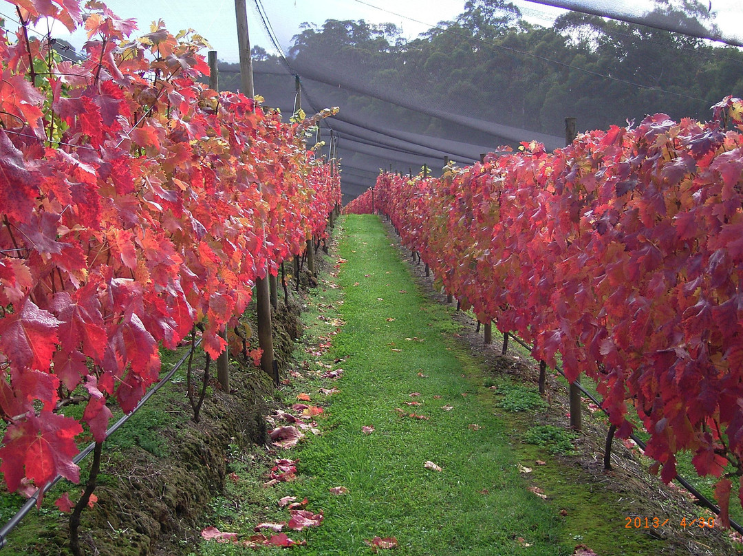 North Motton旅游攻略图片