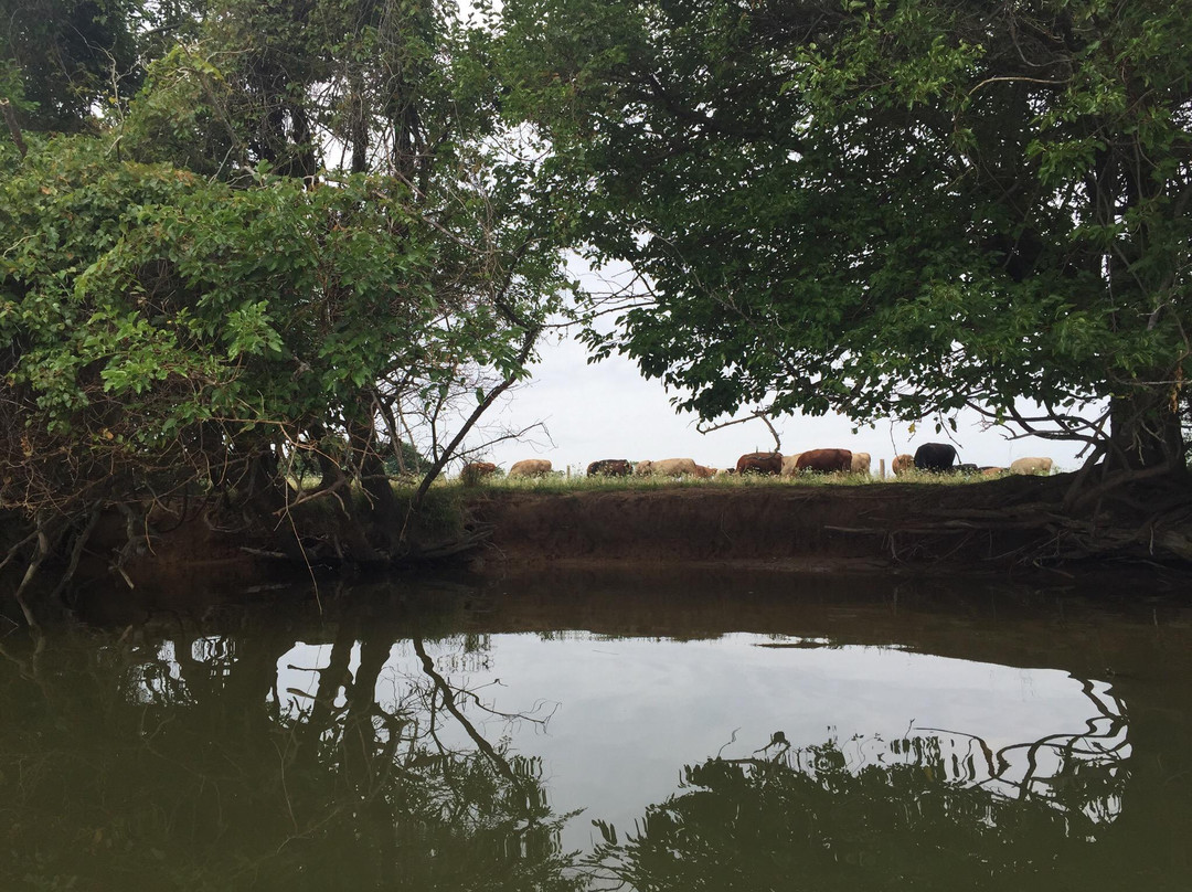 Tilghman Island Marina景点图片