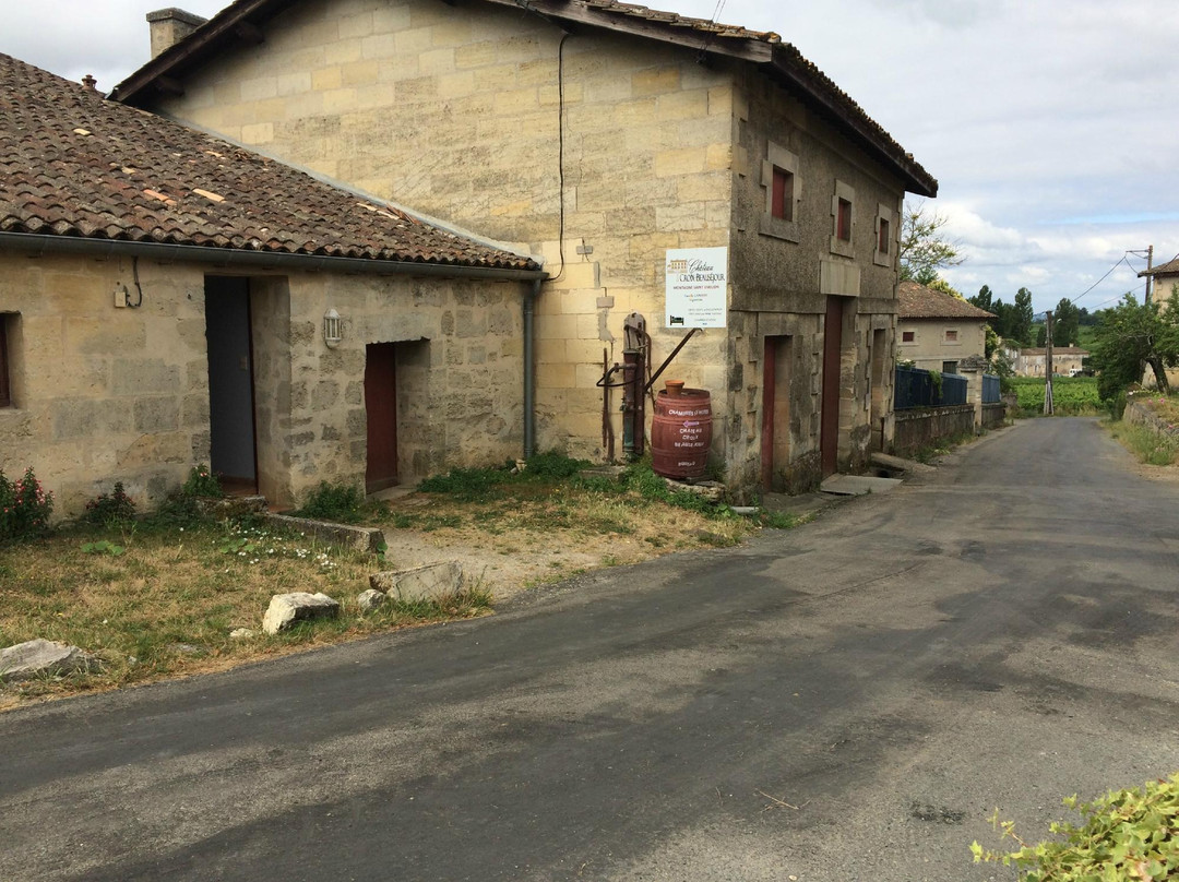 布瑟佐尔十字城堡酒店主图