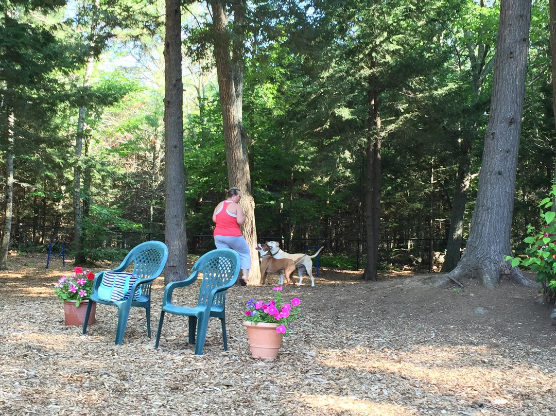 Ogunquit Dog Park景点图片