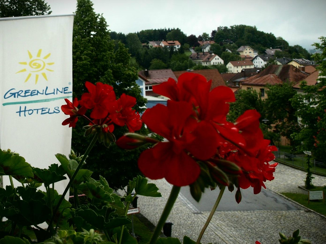 Hotel zur Post主图